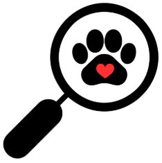 Search Bar Paw 1
