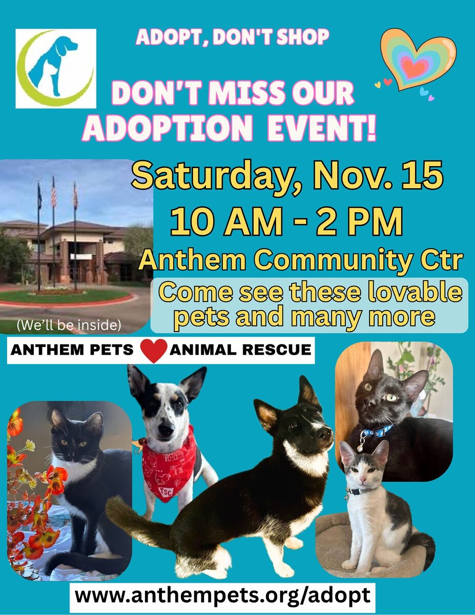 flyer showing cats and dogs