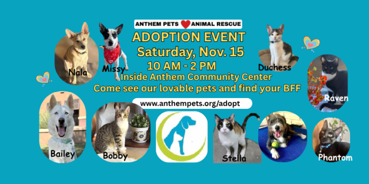 a group of pets is waiting for their FURever home.