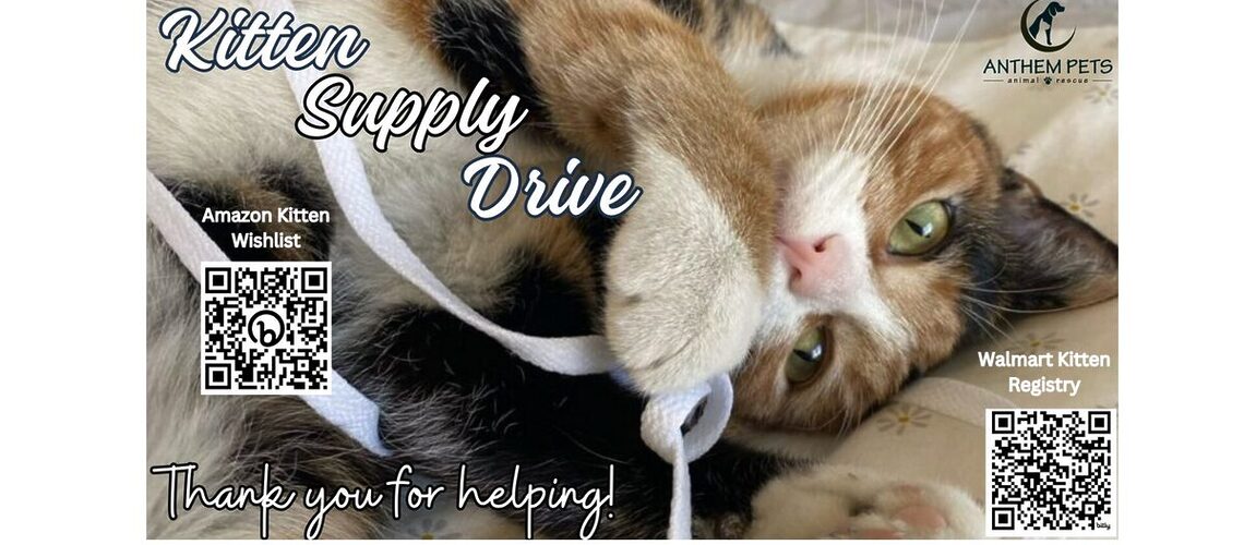 2024 Kitten Supply Drive website