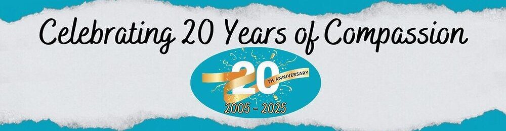 20th Anniversary Website 20th Anniversary Website