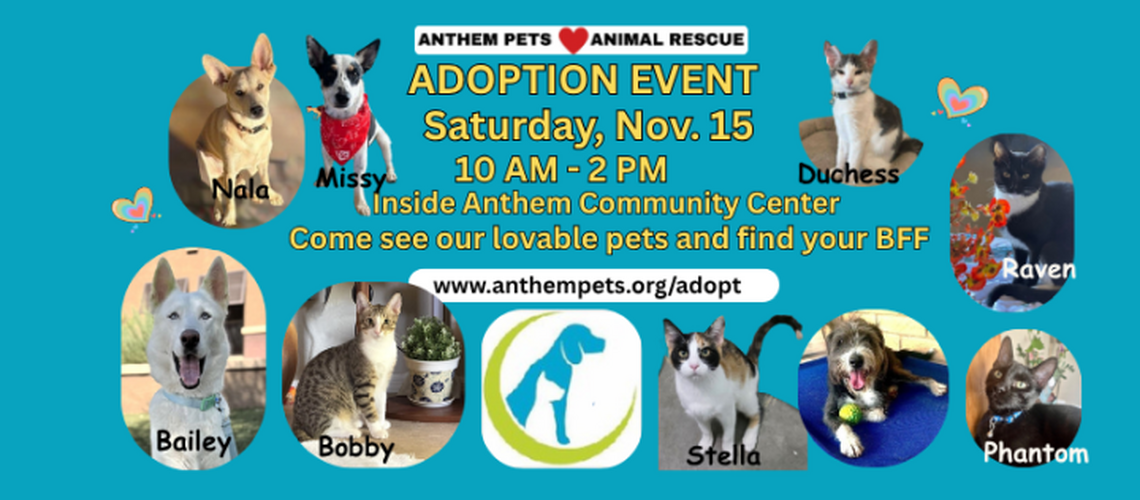 A group of pets is waiting for their FURever home.