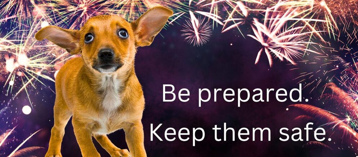 Fireworks Danger