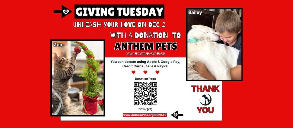 Giving Tuesday 2025 Banner 2.png