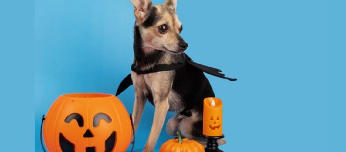 Halloween 2.1