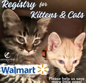 Kitten Registry Button