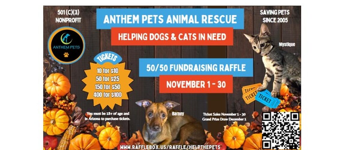 November Raffle Website Banner 3
