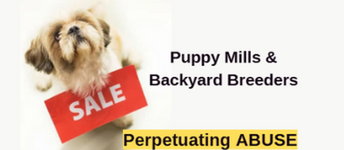 Puppy Mills