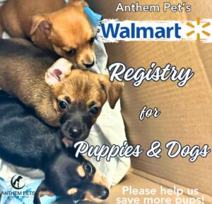 Puppy Registry Website Button