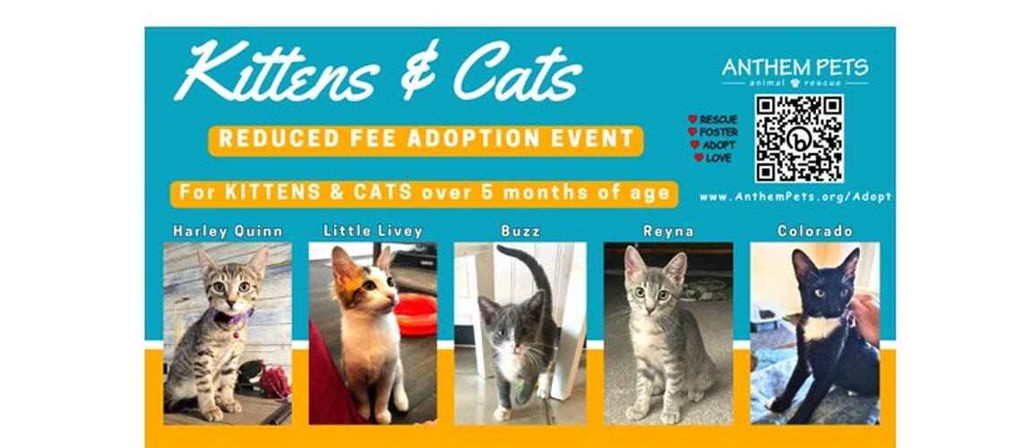 Reduced Fee Website Banner