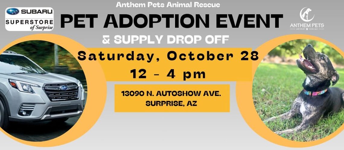 Subaru Adoption 2 Oct 28 website