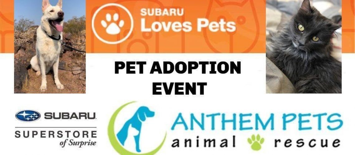 Super Subaru Pet Adoption Event! Anthem Pets
