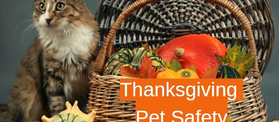 Thanksgiving Safety