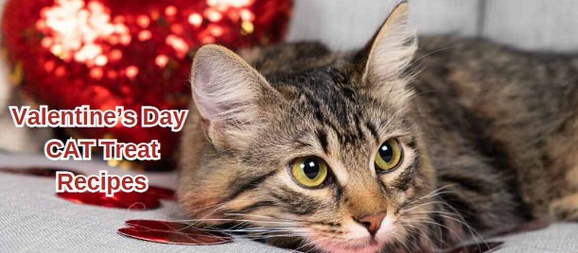 Valentine's Cat Treats 1