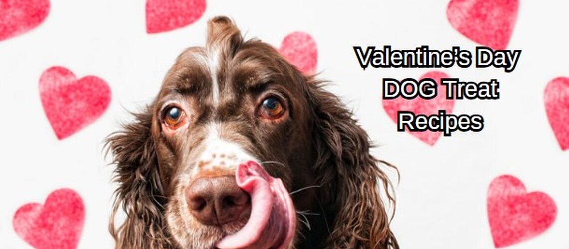 Valentine's Dog Treats 1